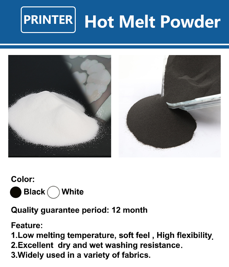 1000g 1kg DTF-Pulver Feines Pu – Solvent Printer Ink Bewertung und Preis